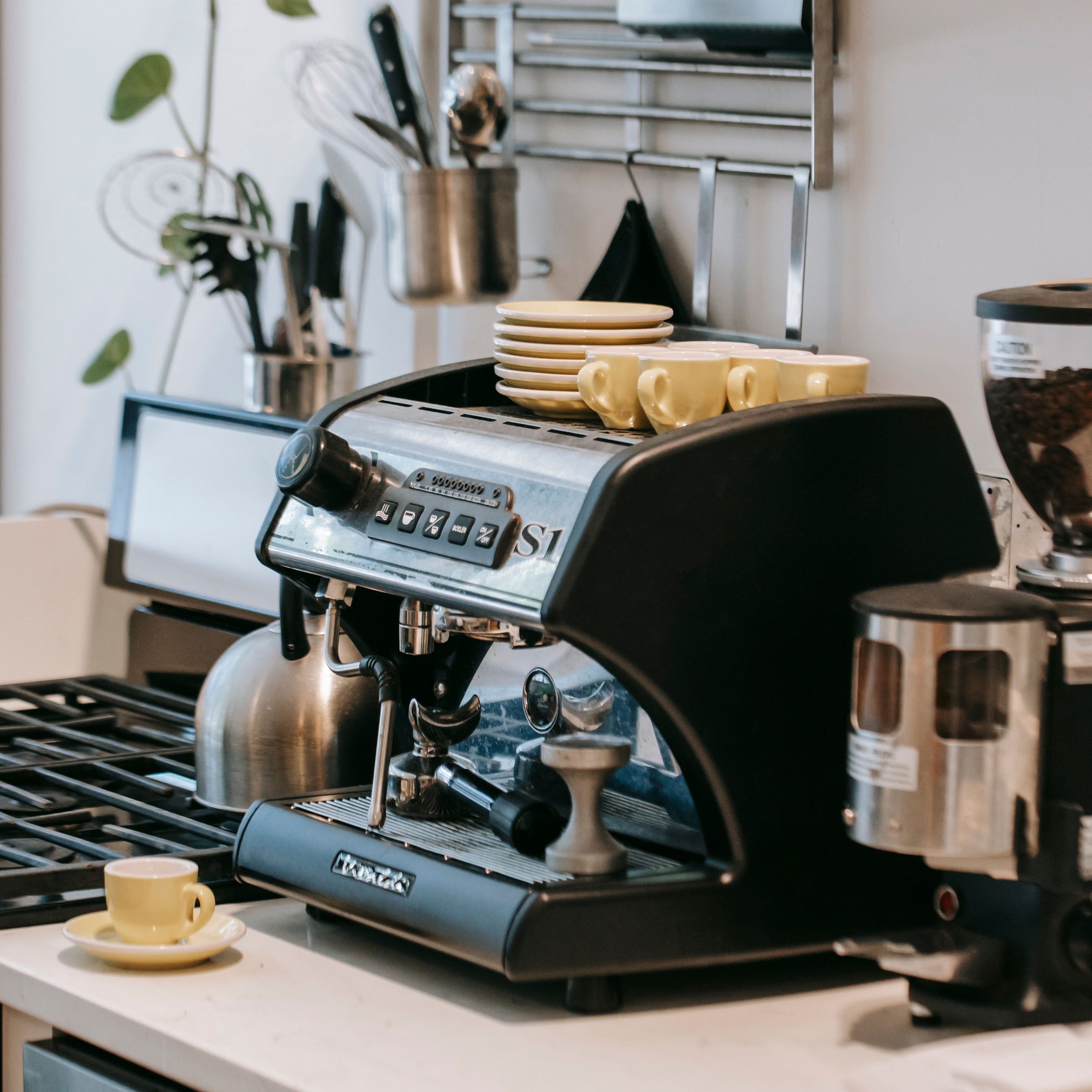 Aparelhos Para Café E Bebidas