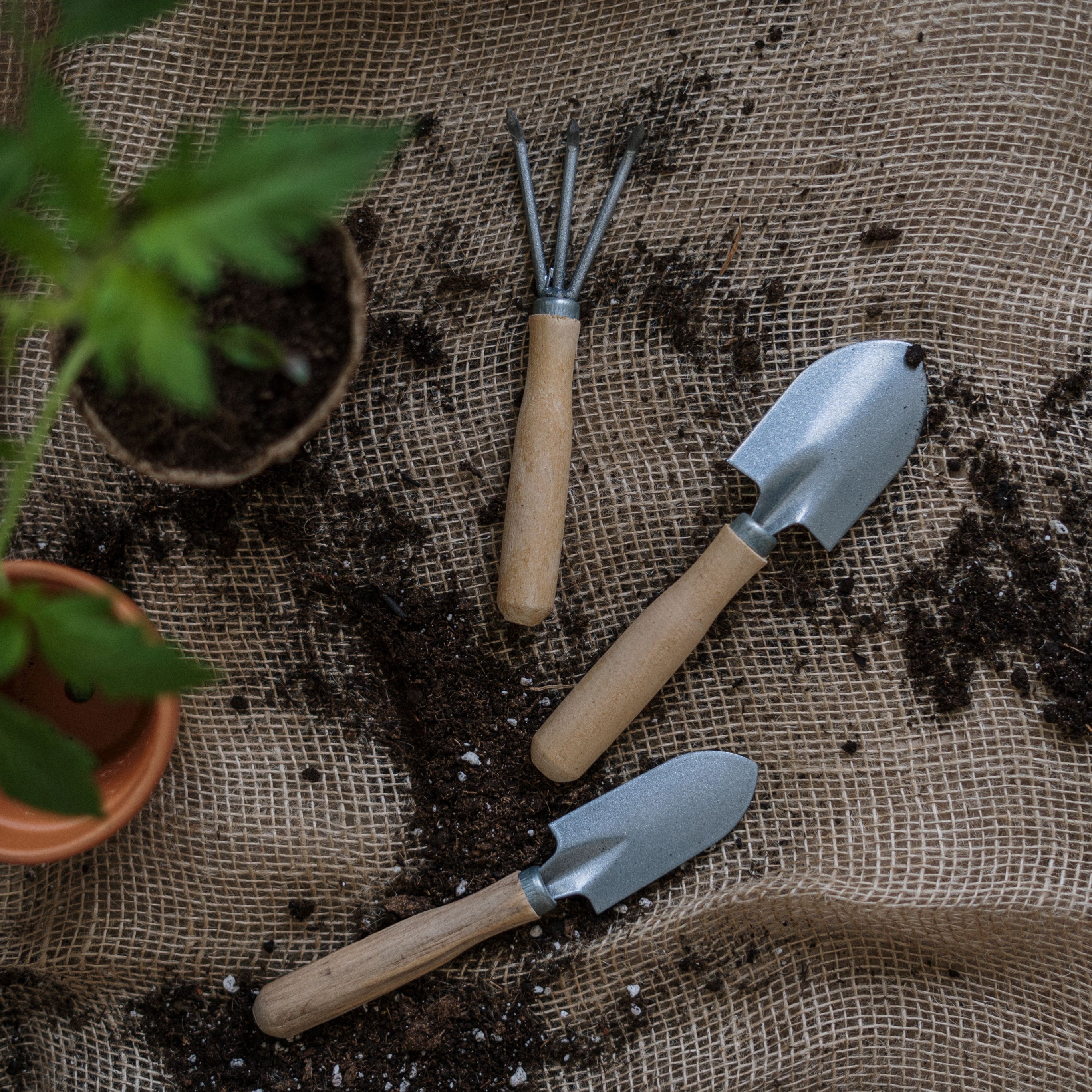Artigos Para Cultivo De Plantas
