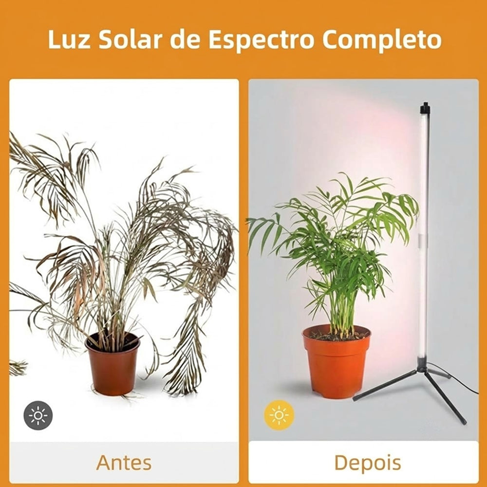 FloraFluxi