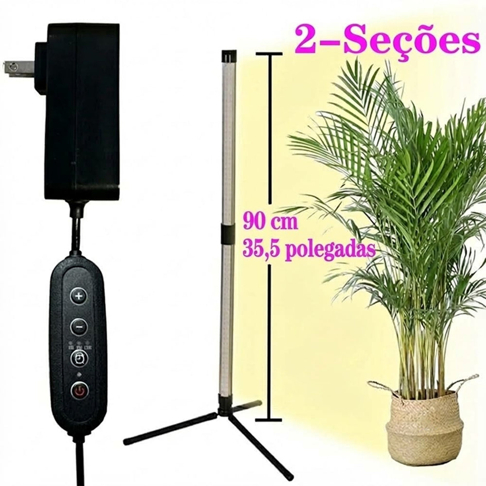 FloraFluxi