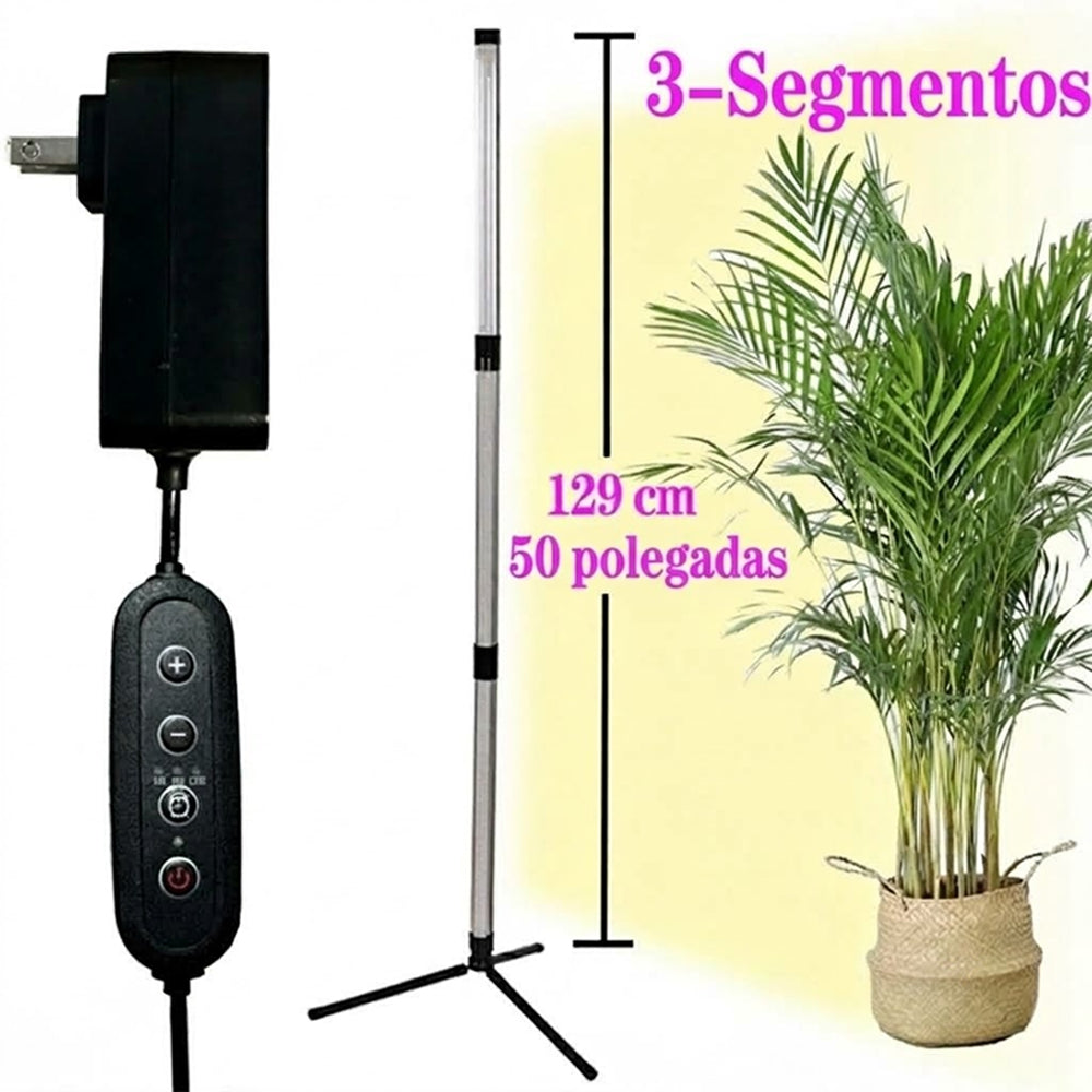FloraFluxi