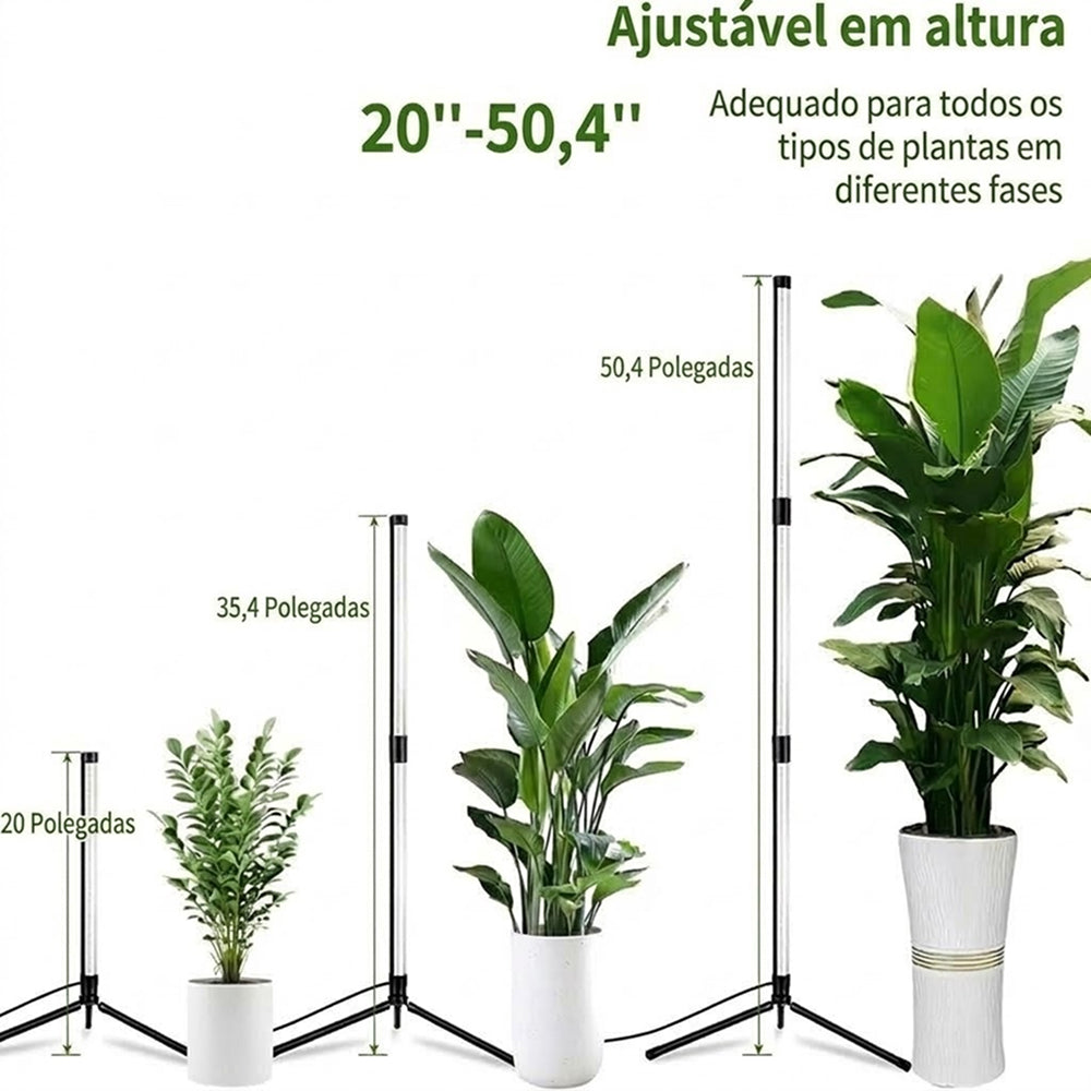 FloraFluxi