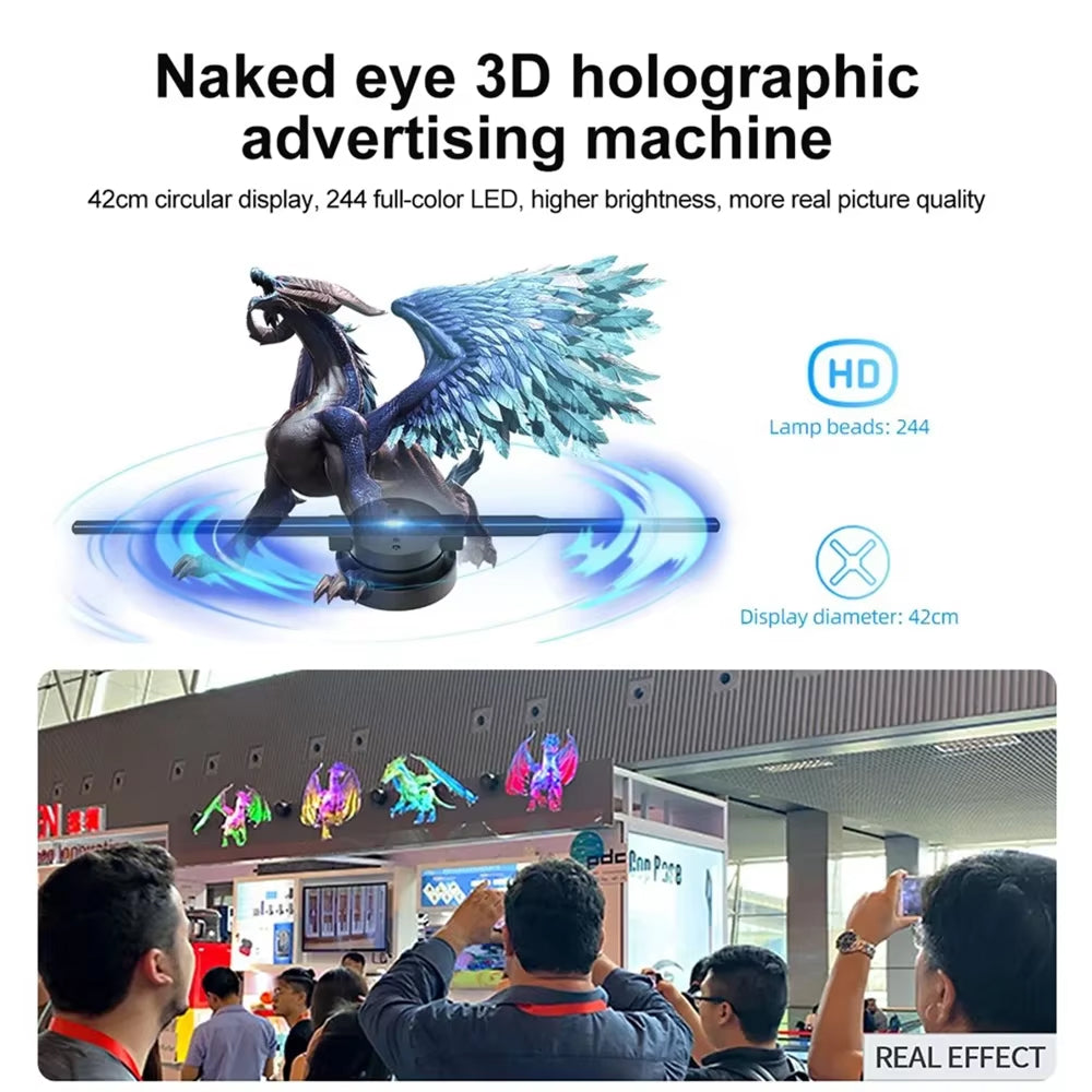 Holovoxy