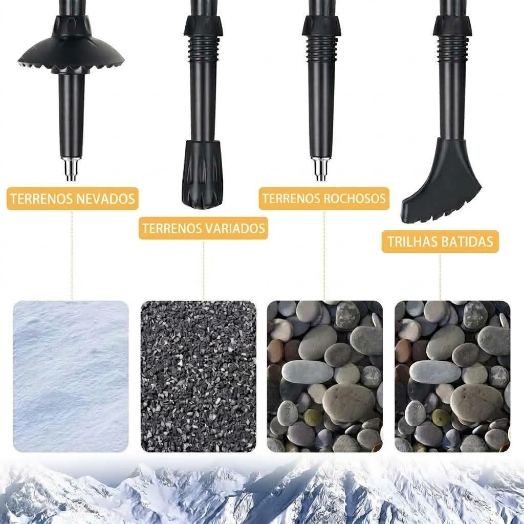 NordVaxi