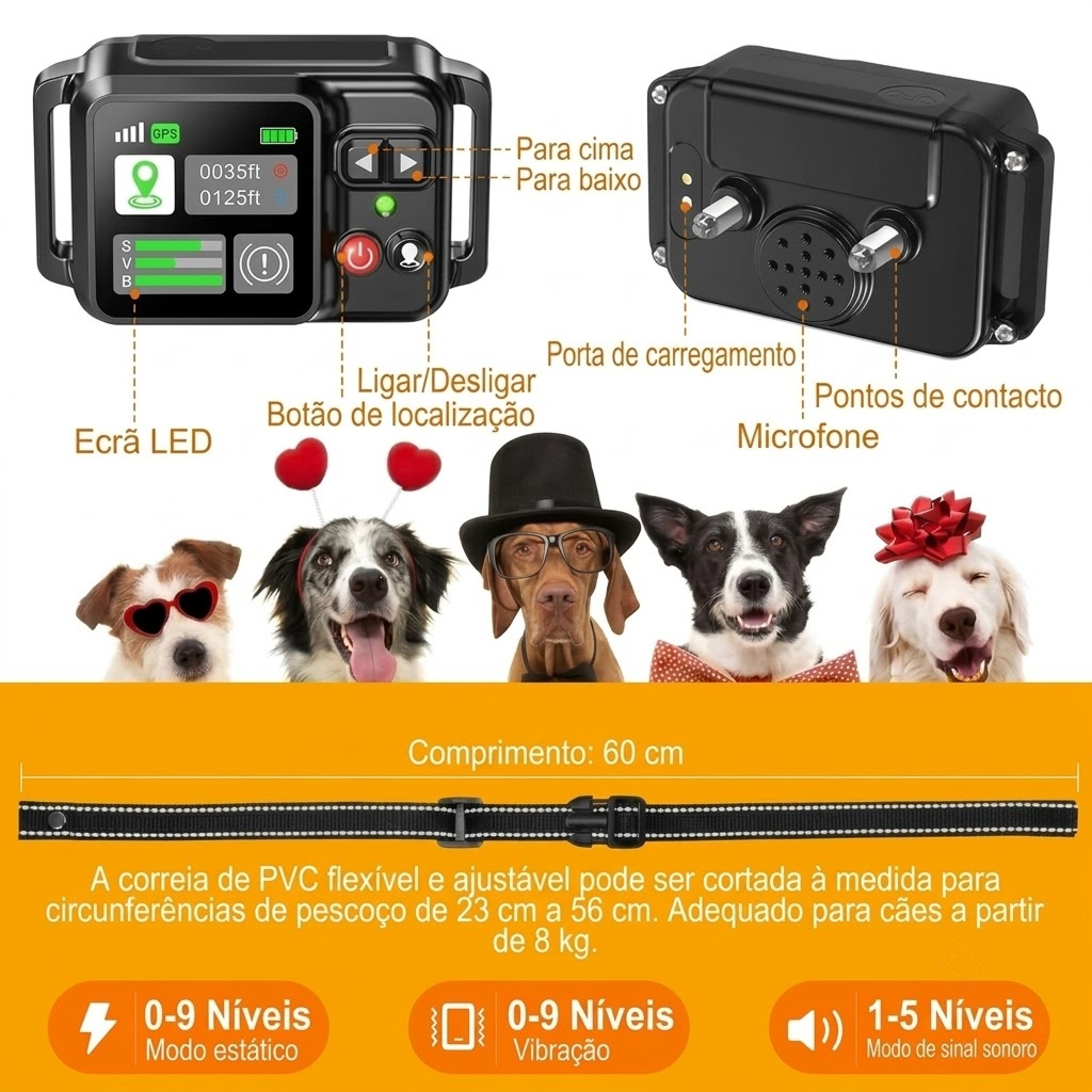 PawTisix